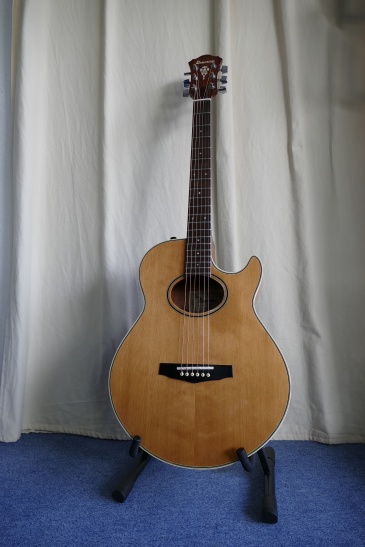 Ibanez AE400