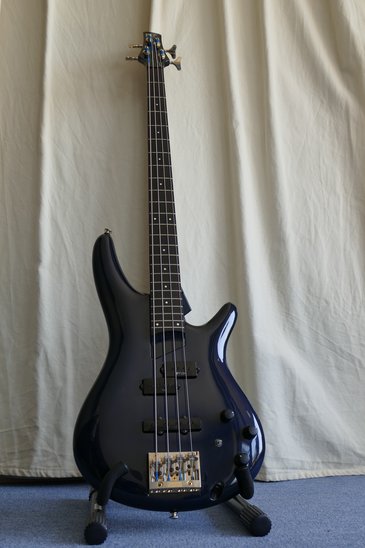 Ibanes SDGR1000