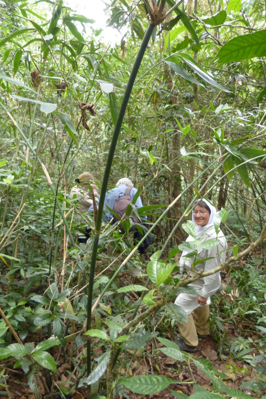 Trekking in Periyar