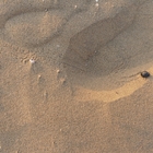 thumbnails/012-_1260005.jpeg.small.jpeg