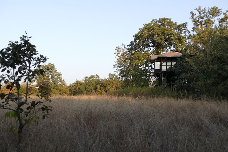 Unser Baumhaus in Pench Tree Lodge Unser Baumhaus in Pench Tree Lodge