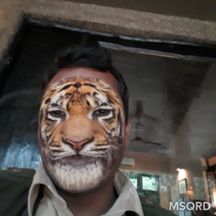 Gudda Tiger Gudda Tiger