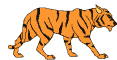 animated tiger animated tiger