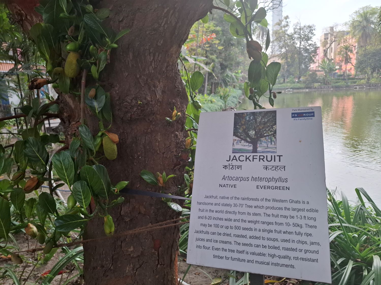 Nature Study Park Nature Study Park