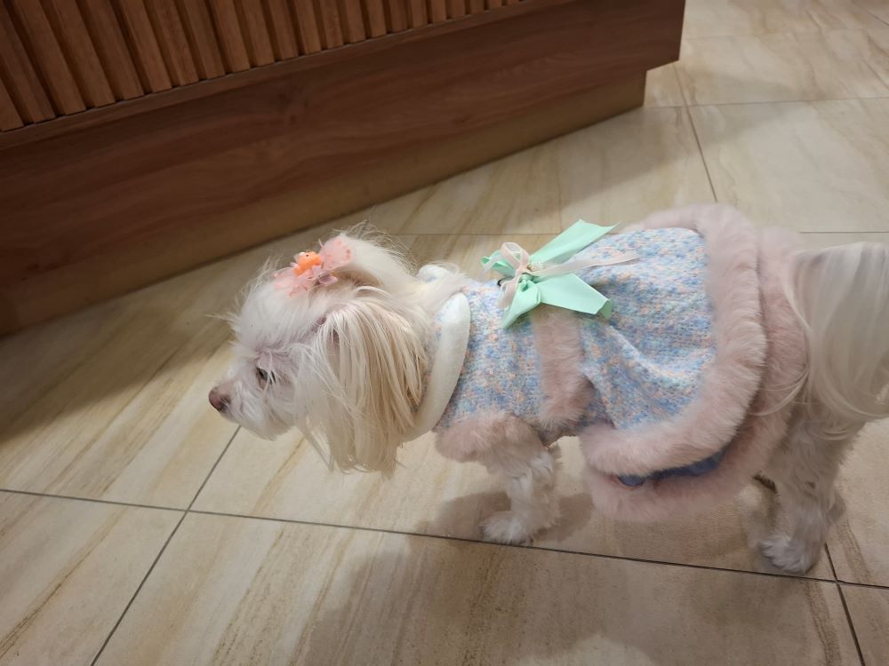 Hotel Kronos Hotel Kronos