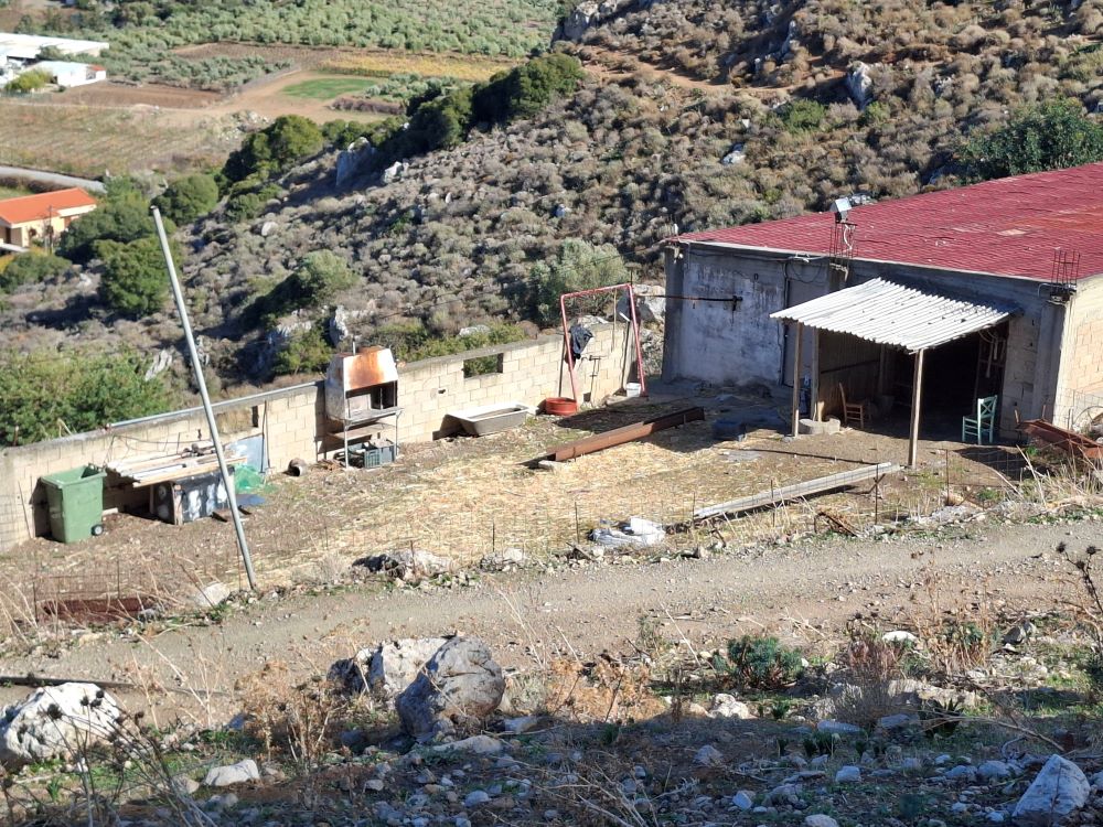 From the farm to the table From the farm to the table