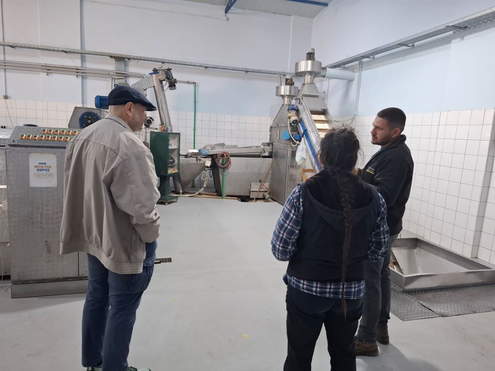 Striligkas Striligkas