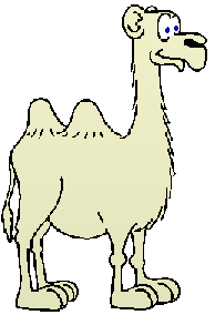 camel.gif