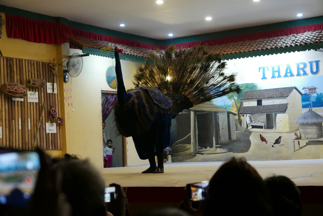 Pfauentanz im Sauraha Cultural House Pfauentanz im Sauraha Cultural House