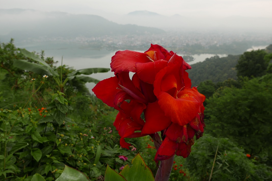 Blick auf Pokhara, halber Weg von der Peace-Stupa Blick auf Pokhara, halber Weg von der Peace-Stupa