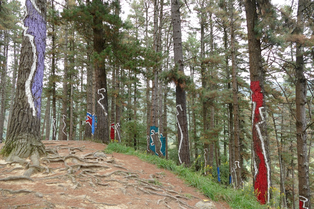 Bosque Pintado Bosque Pintado