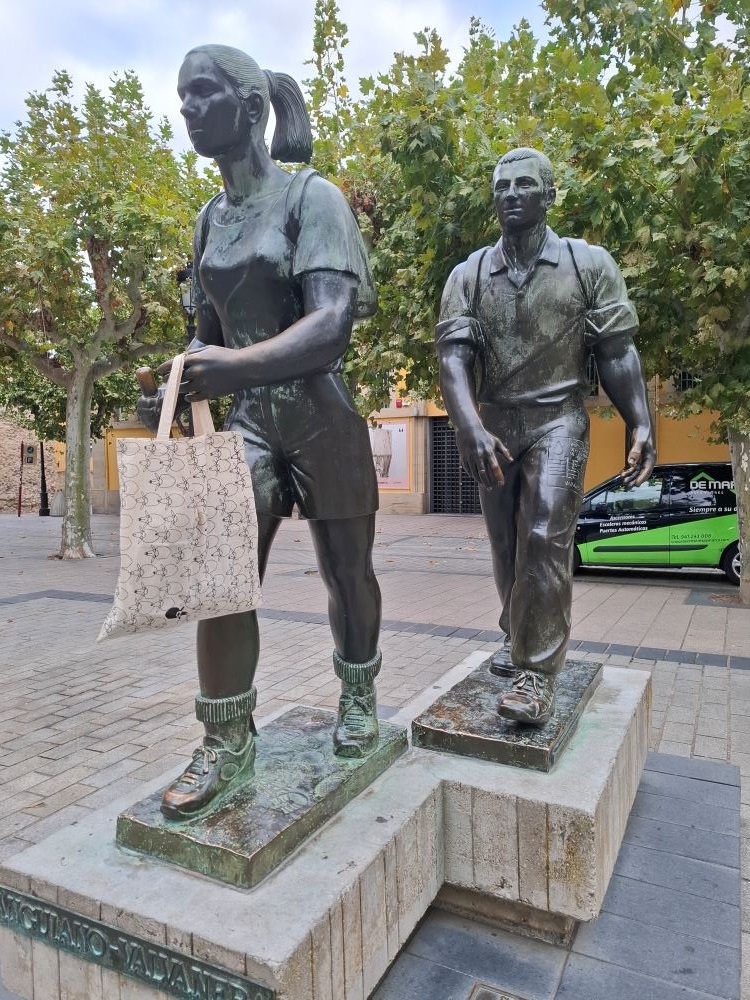 Schafe in Logrono Schafe in Logrono