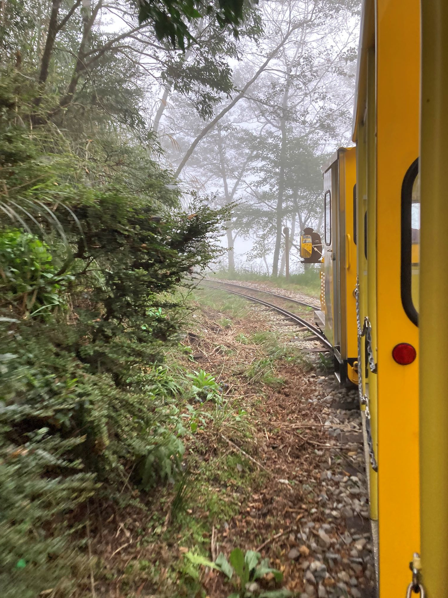 Bong Bong Train