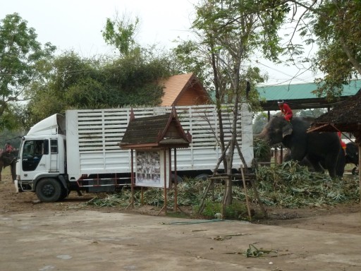 Abladen des neuen Futters Abladen des neuen Futters